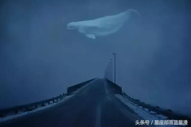 占星师芸天,芸天月亮星座
