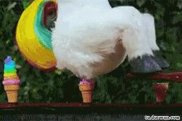 这才是尬舞的真正境界,见识一下真正的尬舞