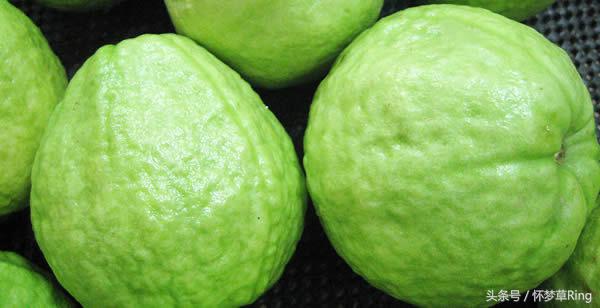 三亚必吃的十大水果排名,海南三亚最爱吃的水果