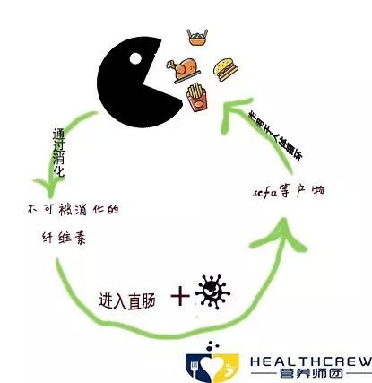 吃屎减肥?为了减肥也是蛮拼的