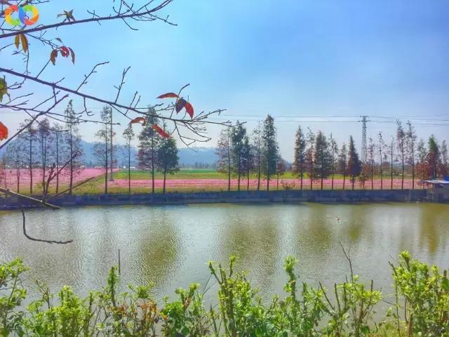 珠海值得一去的景点,珠海一日游最值得去的地方