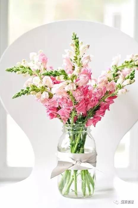 盘点7种人气最旺的花材,10种最暖心的花