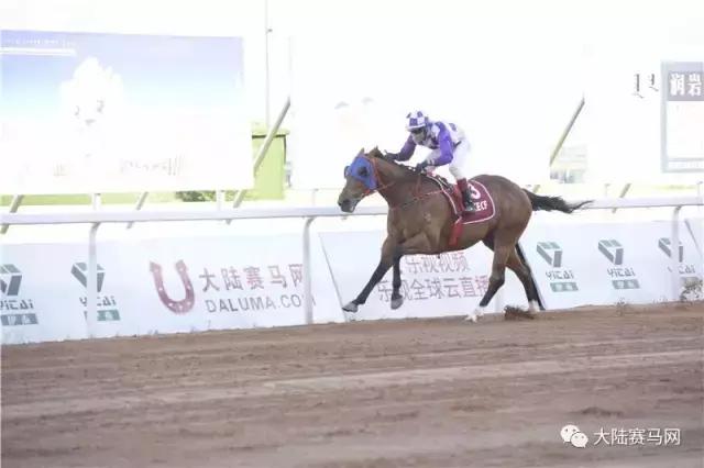 2019骞村唴钂欏彜閫熷害璧涢┈,鍐呰挋璧涢┈椹笟