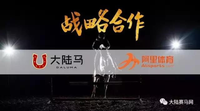 2019骞村唴钂欏彜閫熷害璧涢┈,鍐呰挋璧涢┈椹笟