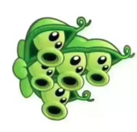 微信头像都是怎么设置的,微信和王者头像不一样怎么设置