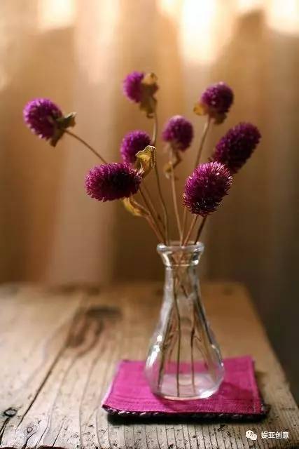 盘点7种人气最旺的花材,10种最暖心的花