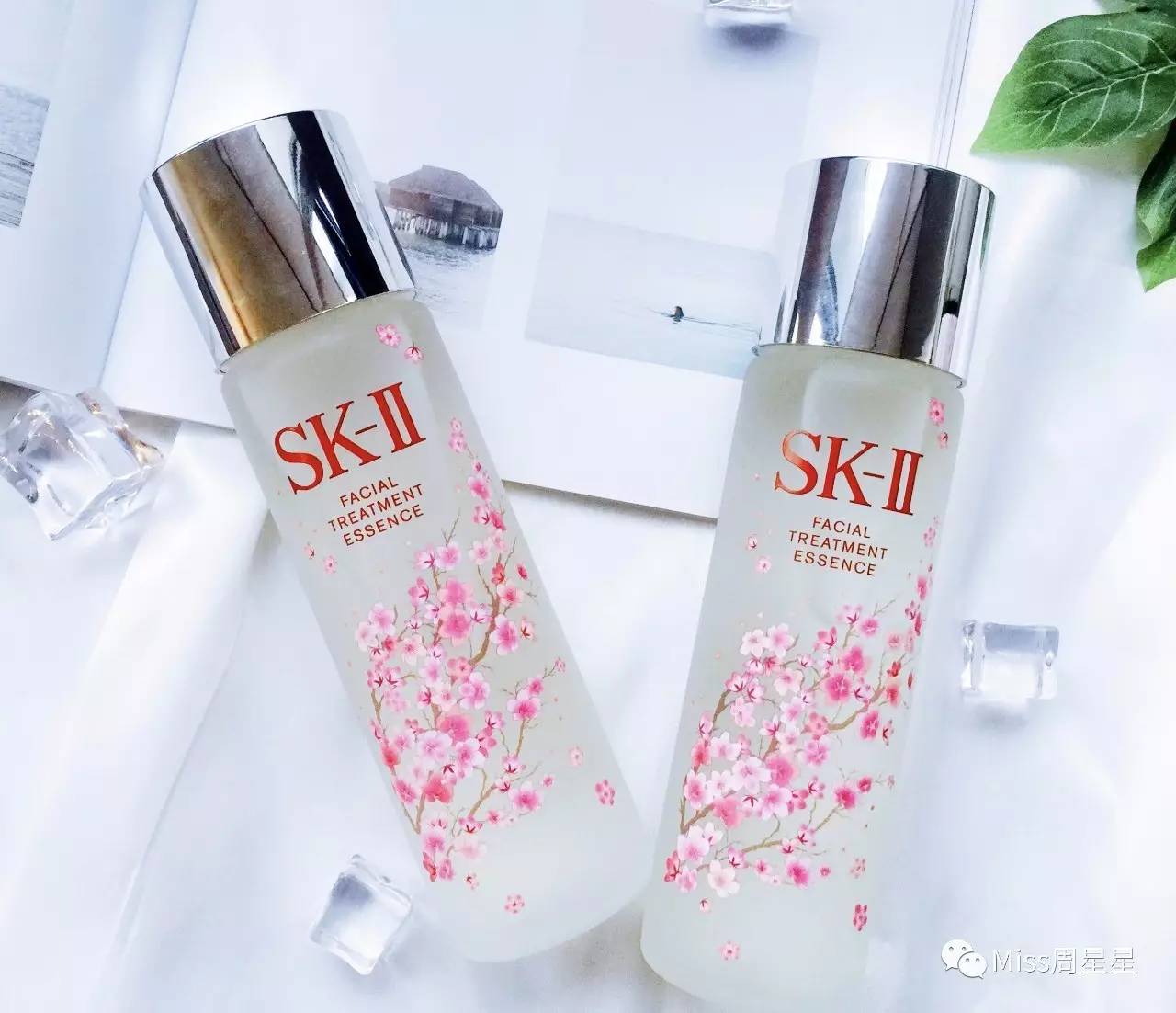 日本十大神水排行榜,日本四大神水哪个最贵