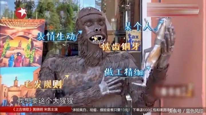 沈腾在外国买的猩猩,沈腾的奇葩经历