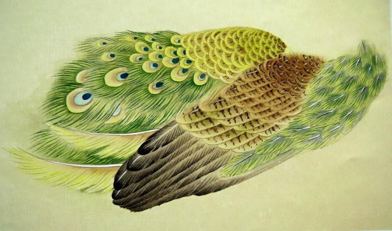 孔雀开屏的图片国画孔雀的画法,国画孔雀的画法图片