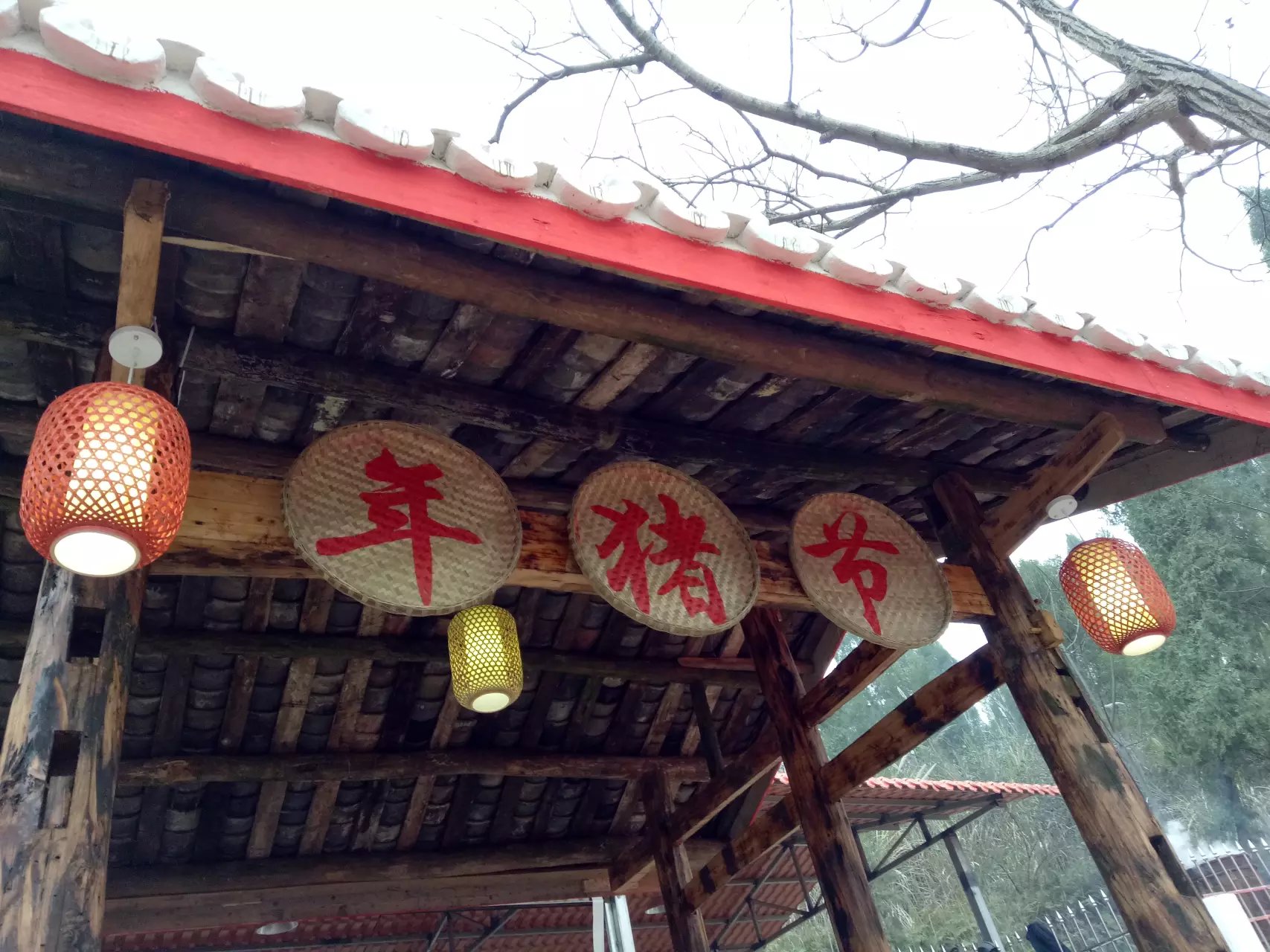 南充市世阳镇最新视频,南充世阳镇最新消息