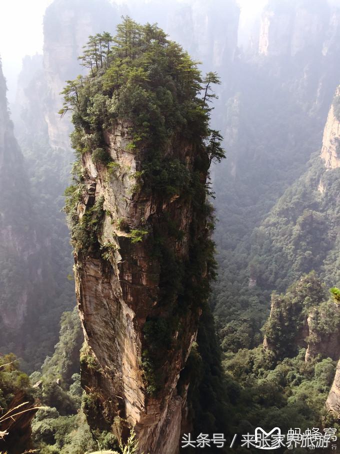 张家界五日游多少钱一个人 (自己张家界六日游详细攻略)