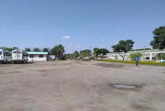 全国最大的玫瑰花基地,世界最著名玫瑰基地