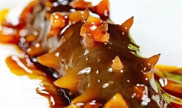 海参和燕窝哪个营养价值高,乌参和海参哪个营养价值高