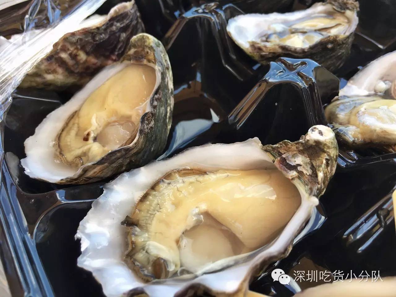 吃货浪游记丨我的胃说想去南半球看看~