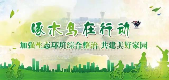 滨海新区推动十大工程规划建设 (滨海新区重点推介19个项目)