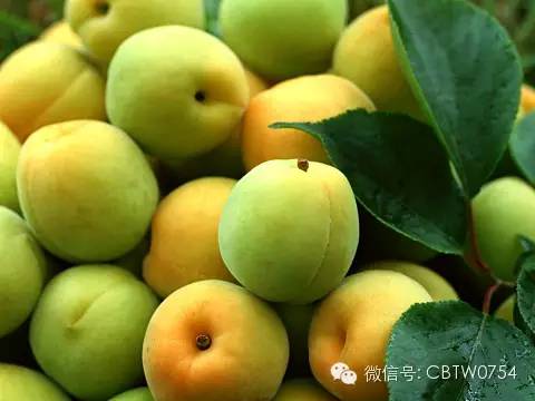 只有潮汕人才看得懂的视频,只有潮汕人才看得懂的水果名称