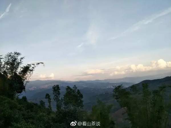 茶人茶语精辟句子,茶人茶语经典语录