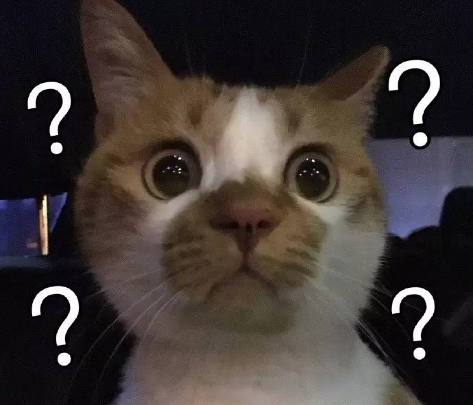 脑筋急转弯数学为什么会0分,脑筋急转弯6门都考0分