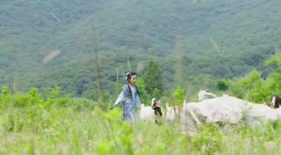 少林寺小戏骨,小戏骨少林寺完整版