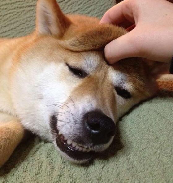 韩国专属“火病”又能申遗了!每日轻松一刻6月27日午间版