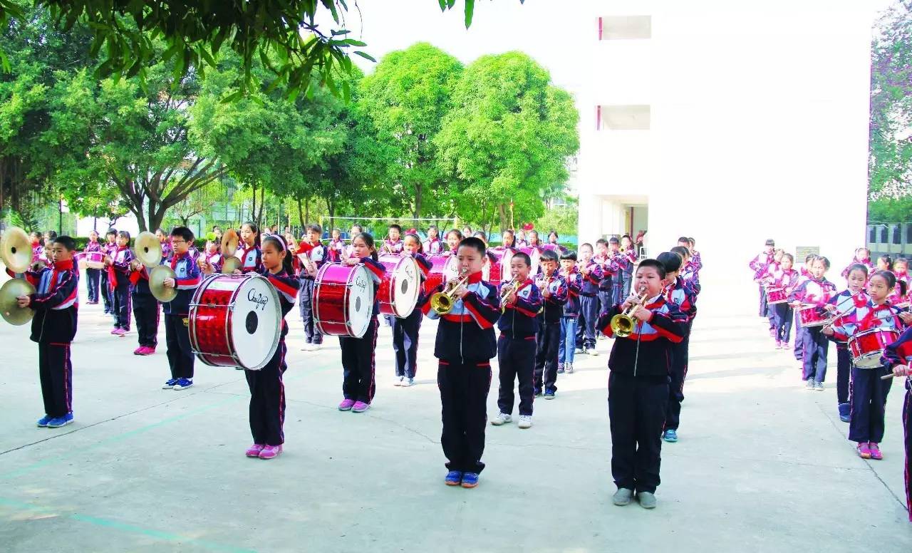 青秀区小学招生计划公示,青秀区小学入学条件