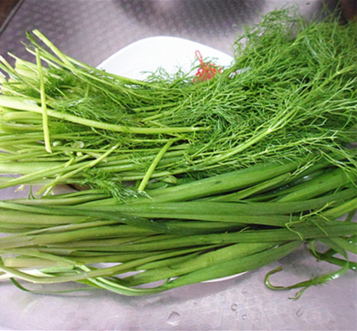 韭菜鸡蛋小茴香馅菜盒,茴香馅饺子好吃还是韭菜馅的好吃