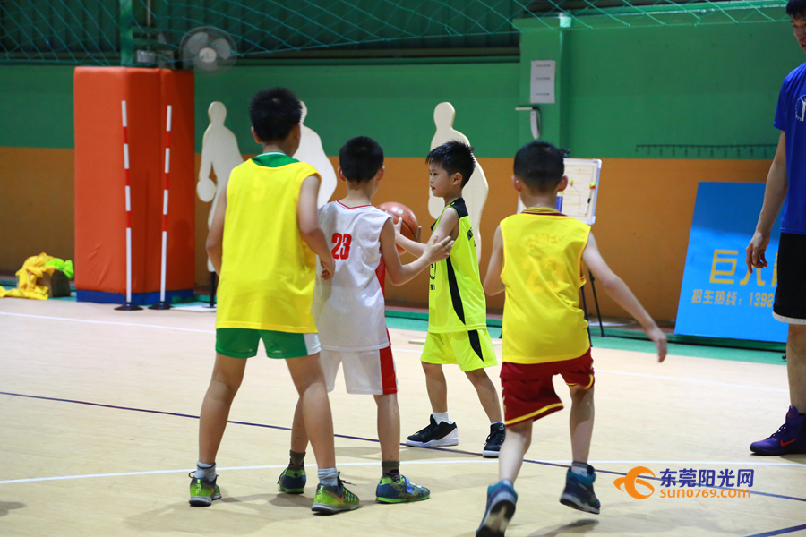 广东东莞篮球青训一年多少钱,东莞新世纪篮球青训队