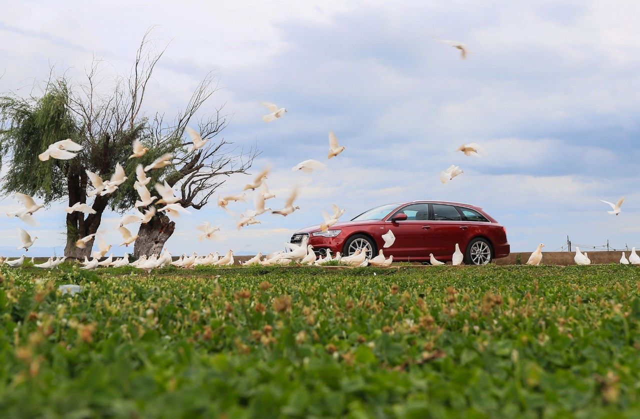 目前国内市场有什么旅行车,国内旅行车的优势和缺点