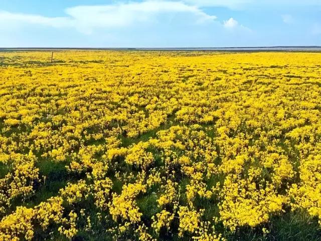 10个适合情侣的目的地，每一个都值得跟他好好走一走