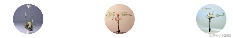 花艺插花花道有哪些区别,插花的几种基本造型花艺