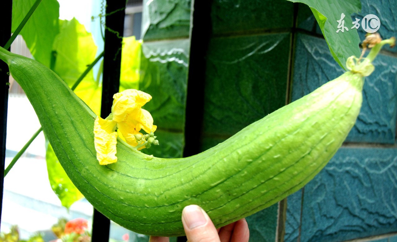 夏天给一岁宝宝吃什么水果比较好,夏天给小孩多吃哪些蔬菜水果好