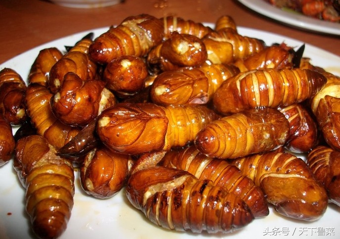 吐丝不结茧,吐司不拉丝