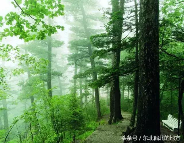 夏季黑龙江最美景区,黑龙江避暑最佳城市