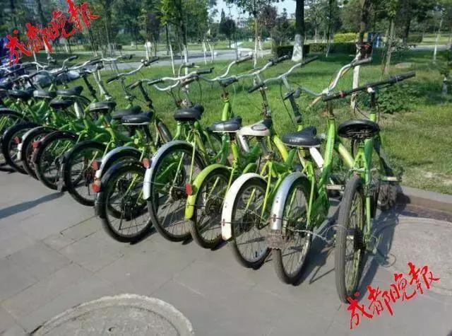 一夜风雨后，成都一白发爷爷的这个举动获赞无数！