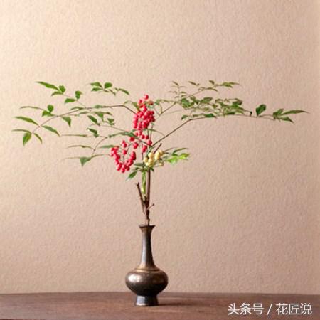 花艺插花花道有哪些区别,插花的几种基本造型花艺