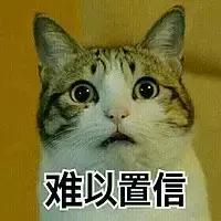 带猫出门被路人骂,带猫出去被骂的博主