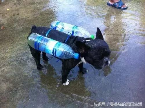 学会了这十句泰语，你就可以笑傲泰国