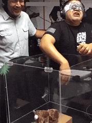 我想和这两个妹妹一起玩挠痒痒的游戏