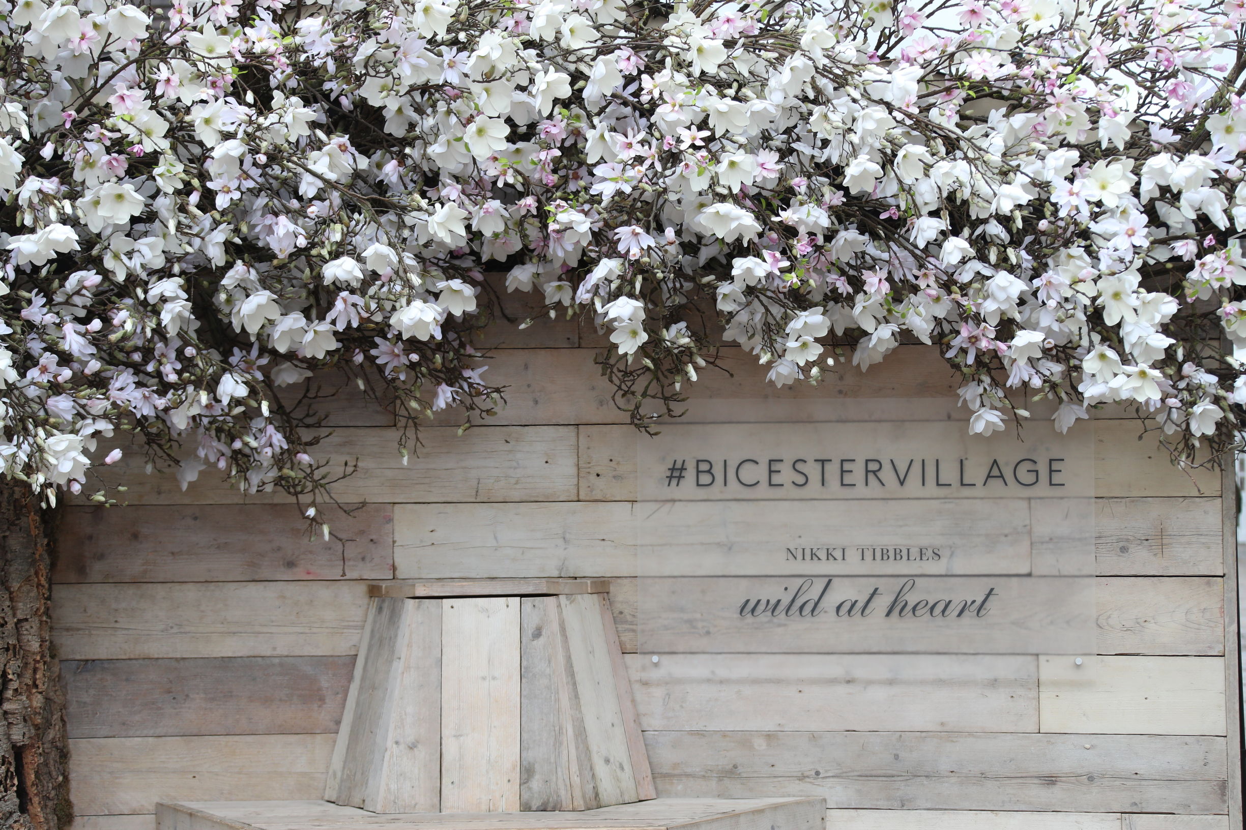 镶金边的高跟鞋！凯特妃最爱，老佛爷钦点，女星们集体买买买！