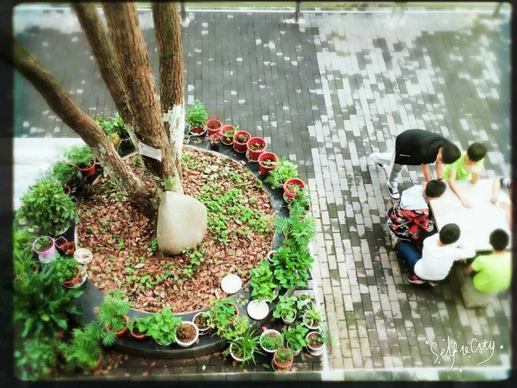 关于上栗中学,江西省上栗中学