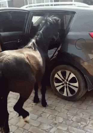 我愿成佛,我愿成佛歌曲完整版