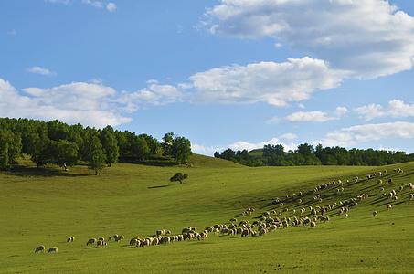 自媒体创业的前景如何,自媒体创业前景分析