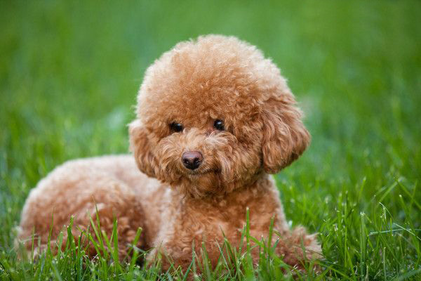 新娘在婚礼当天流产,结婚当天不小心流产了