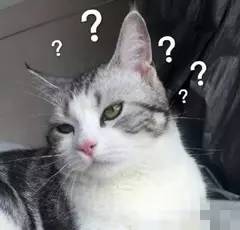 日本奶瓶和天猫奶瓶,日本奶瓶爱马仕