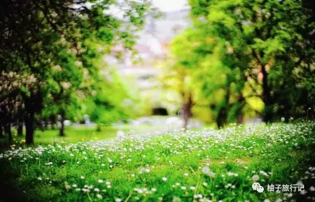 精品游记：有惊无险德意志，肉身滚雷法兰西（上篇）