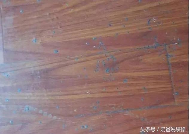 新房出租一年，租客用饮料瓶装尿，卧室变成公厕，收房气得浑身发抖！