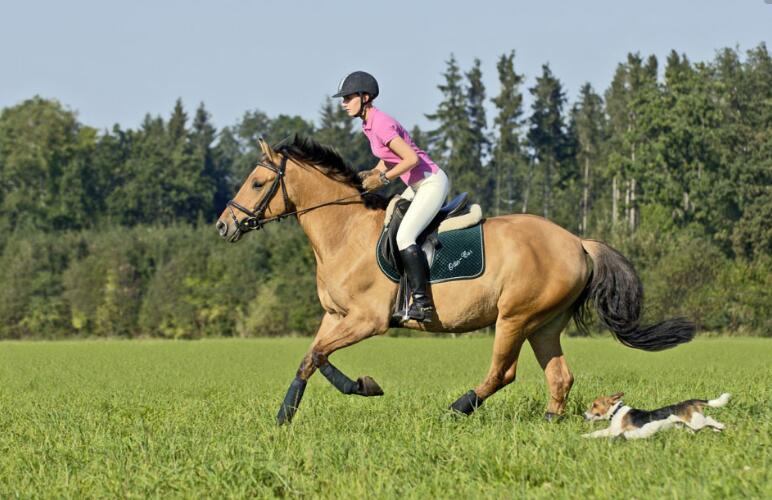 脸上晒斑怎么消除医学,脸上晒斑怎么祛斑最有效