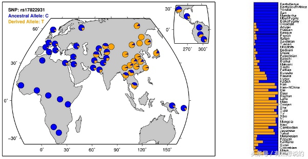 夏天外出有狐臭没戴止汗露怎么办,狐臭特别严重用什么止汗露