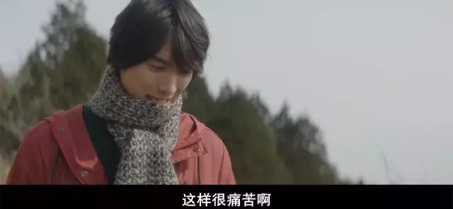 哭得稀里哗啦的电影,多少人看这部电影哭得一塌糊涂