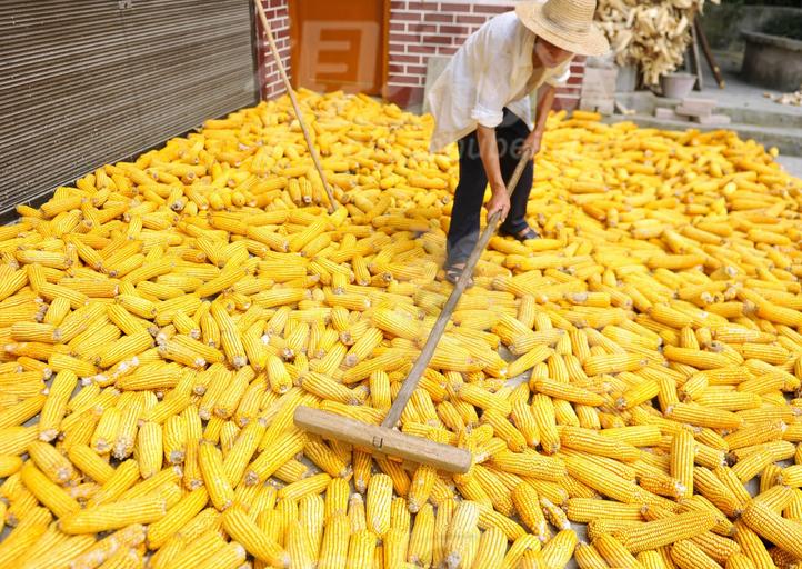 中国农业发展趋势及前景,中国农业行业前景